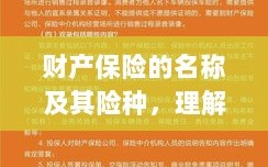 财产保险名称及险种概览，如何理解并应用财产保障的重要方式