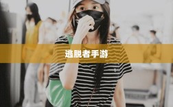 逃脱者手游的网络连接需求解析及其对游戏体验的影响