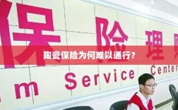 陶瓷保险受阻，普及之路何在？