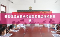 养老保险发放卡片类型与运作机制深度解析