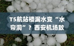 西安机场T5航站楼成水帘洞？漏水原因揭晓，排水系统遭冰雹堵塞，雨水渗进楼内并致歉