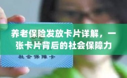 养老保险发放卡片全面解析，社会保障力量的见证