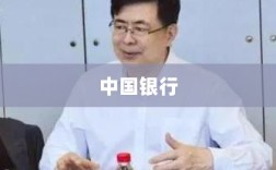中国银行2024年度税后利润增长概况，实现利润2527亿元，同比增长2.58%