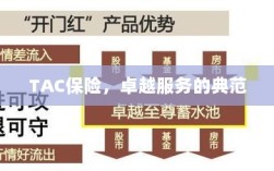 TAC保险，卓越服务的典范标杆