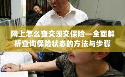 网上查询保险状态全攻略，如何轻松查交没交保险？