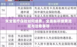 全面解析失业医疗保险缴费流程与注意事项