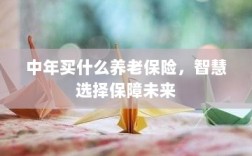 智慧选择养老保险，中年人的未来保障之选