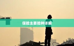 保险主要险种详解概览