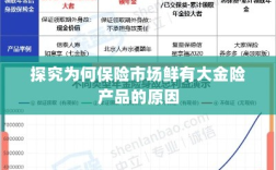 大金险产品稀缺，探究保险市场的现状与原因