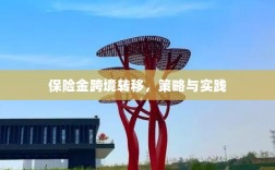 保险金跨境转移的策略与实践探讨