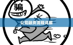 公司融资流程详解