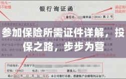 投保必备证件详解，步步为营的保险之旅