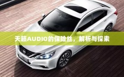 天籁AUDIO保险丝解析与探索