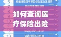 医疗保险出险次数查询指南，全面解析与实用查询方法