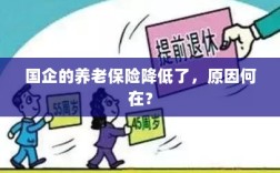 国企养老保险降低的原因探究