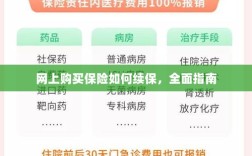 网上购买保险的续保指南，全面解析保险续保流程