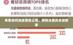 未来如何选择保险公司，明智决策的关键要素概览