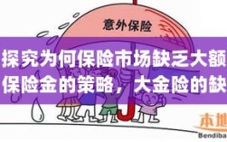 大额保险金策略缺失解析，探究保险市场大金险缺失原因