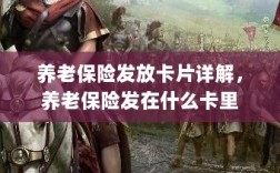 养老保险发放卡片详解，卡片类型与发放流程