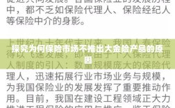 探究保险市场未推出大金险产品的原因分析