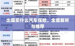 全面解析与推荐，出国应该购买哪些汽车保险？
