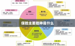 保险主要险种简介与概述