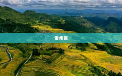 女厅官落马后续影响，下属官员相继被查