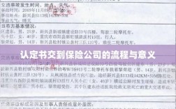认定书交到保险公司的流程及其意义解析