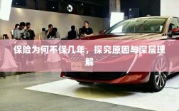 探究保险短期保障背后的原因与深层理解
