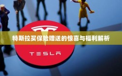 特斯拉保险赠品福利大解析，惊喜与优惠一网打尽！