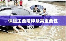 保险主要险种及其重要性概览