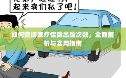 医疗保险出险次数查询指南，全面解析与实用查询方法