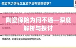 陶瓷保险为何受阻，深度解析与探讨