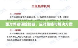 养老保险中断危机，应对策略与解决方案探讨