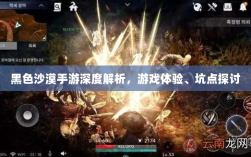 黑色沙漠手游深度解析，游戏体验、坑点探讨