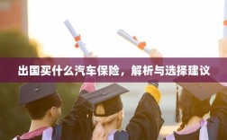 出国购车保险指南，解析与选择建议