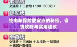 纯电车保险省钱攻略，如何找到更便宜的保险与实用建议