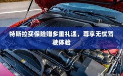 特斯拉保险购买多重礼遇，无忧驾驶尊贵体验