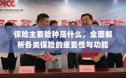 全面解析保险主要险种，各类保险的重要性与功能介绍