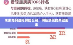 未来如何选择保险公司，明智决策的关键要素概览