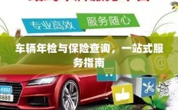 车辆年检与保险查询，一站式服务详解