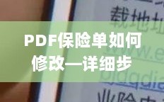 PDF保险单修改指南，步骤详解及注意事项