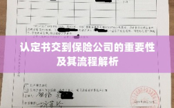 认定书交到保险公司的流程解析与重要性探讨
