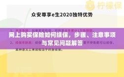 网上保险续保指南，步骤、注意事项及常见问题解答