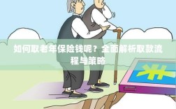 全面解析，老年保险取款流程与策略指南