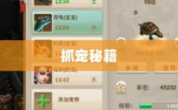 问道手游，宠物捕捉攻略，轻松掌握抓宠秘籍