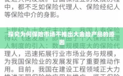探究保险市场未推出大金险产品的原因分析