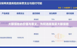 大额保险的价值与意义，为何选择购买及其重要性