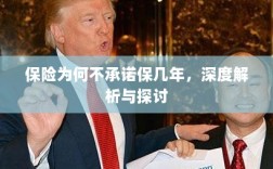 深度解析与探讨，保险承诺期限的隐衷与考量