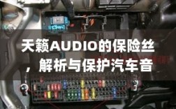 天籁AUDIO保险丝，解析与汽车音频系统保护的关键要素